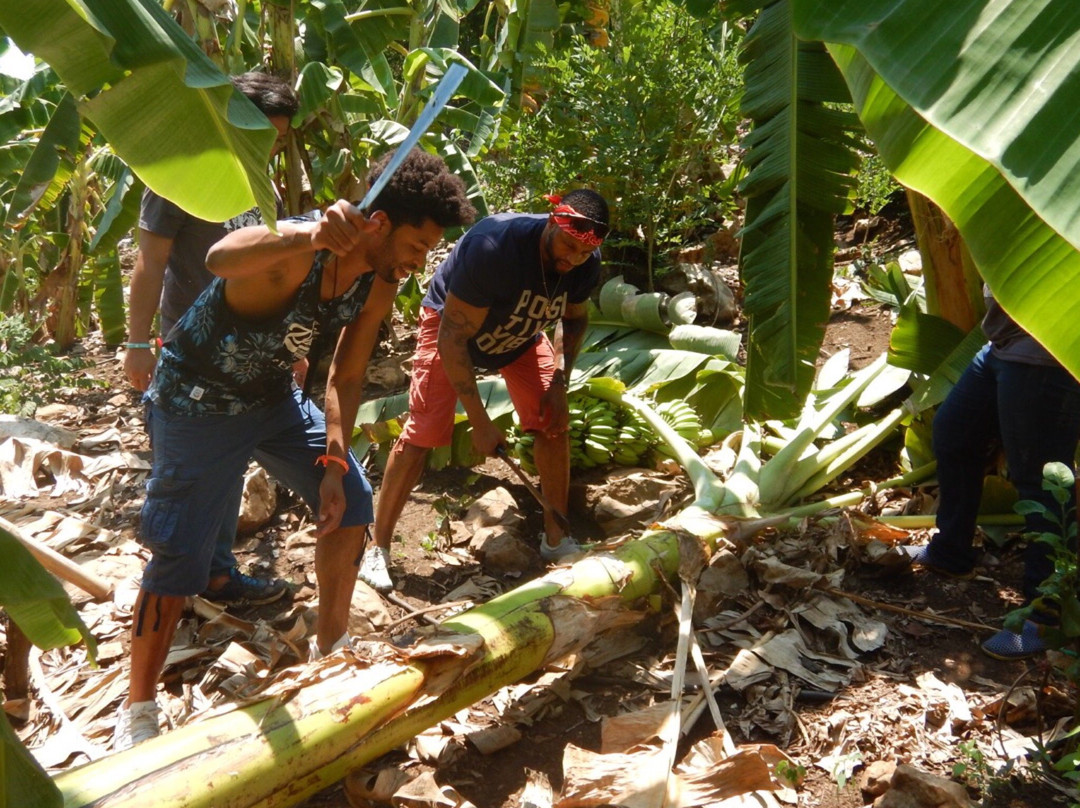 The Banana Orchard Project-北碧必去景点