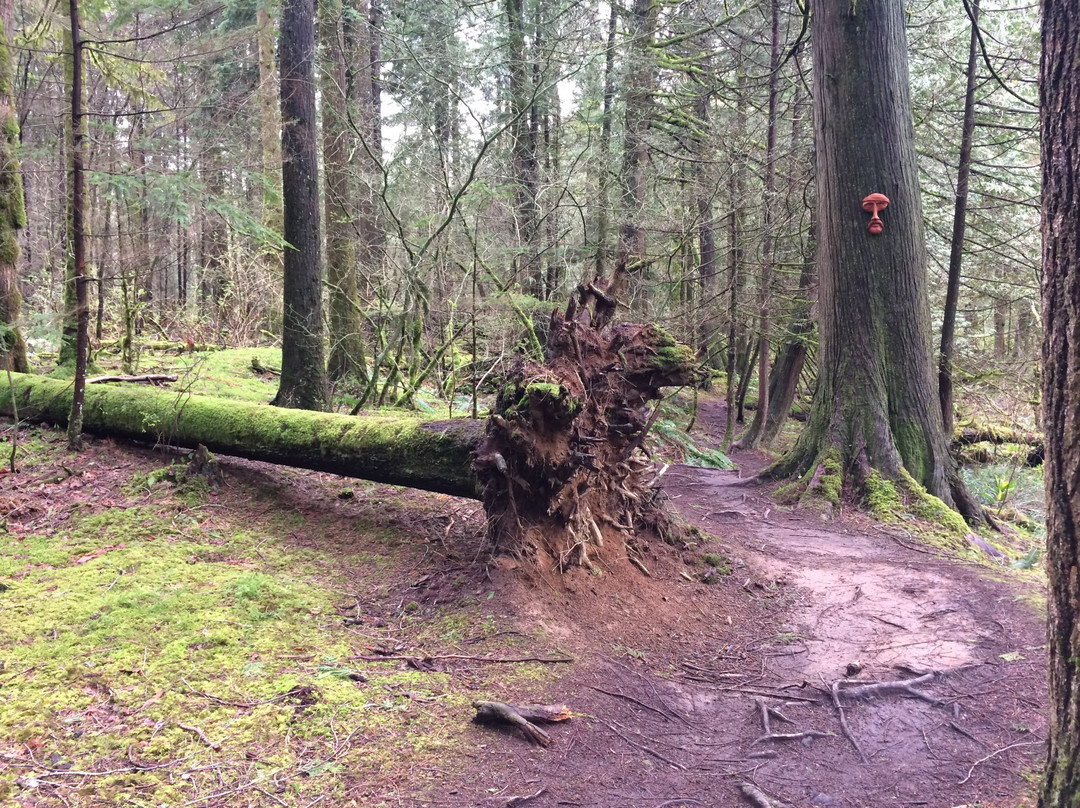 Spirit Trail Walk-哈里逊温泉必去景点