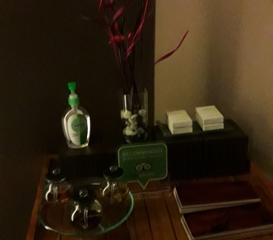 伊斯特帕克酒店修养spa-Depok必去景点