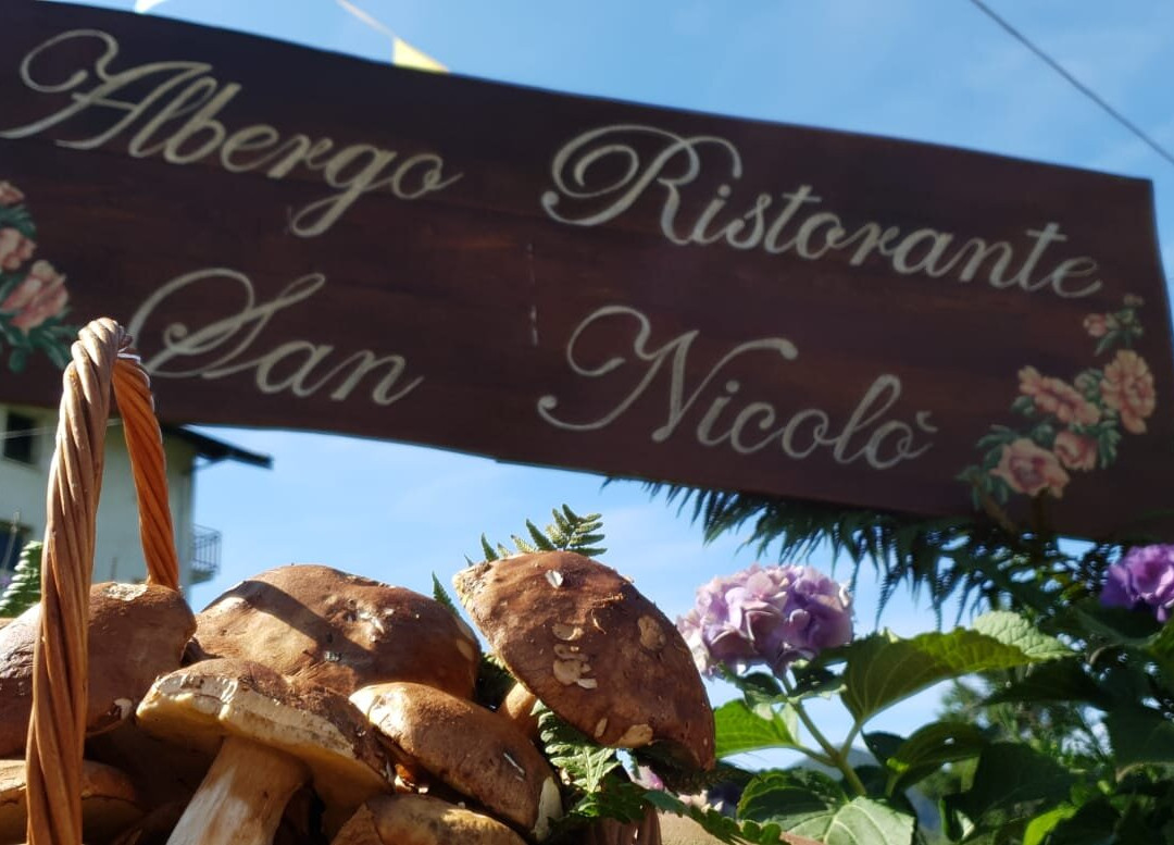 Calizzano酒店住宿-Albergo Ristorante San Nicolo