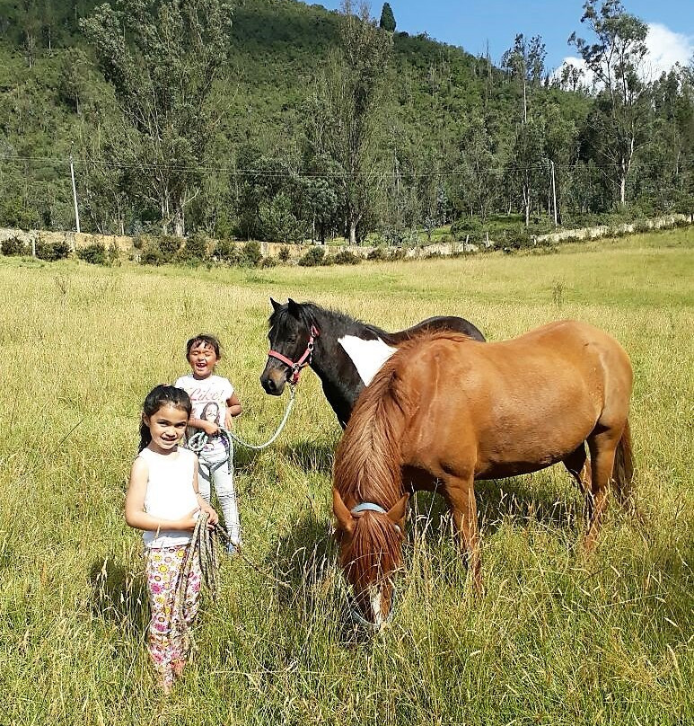 Bosque Ecuestre-Sopo必去景点