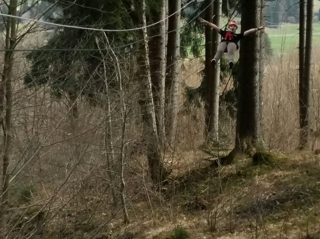 Waldseilgarten Höllschlucht景点图片