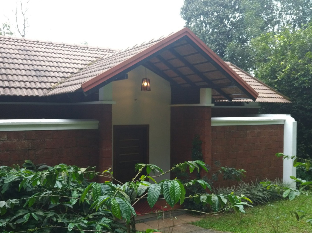 Vythiri Mist Resort主图