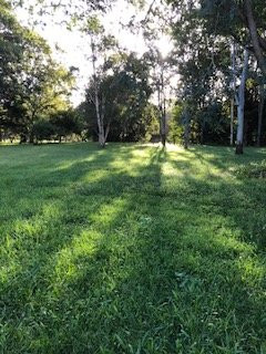 Nimbin Rocks Retreat主图