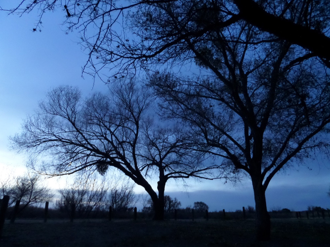 Caballo Lake State Park景点图片