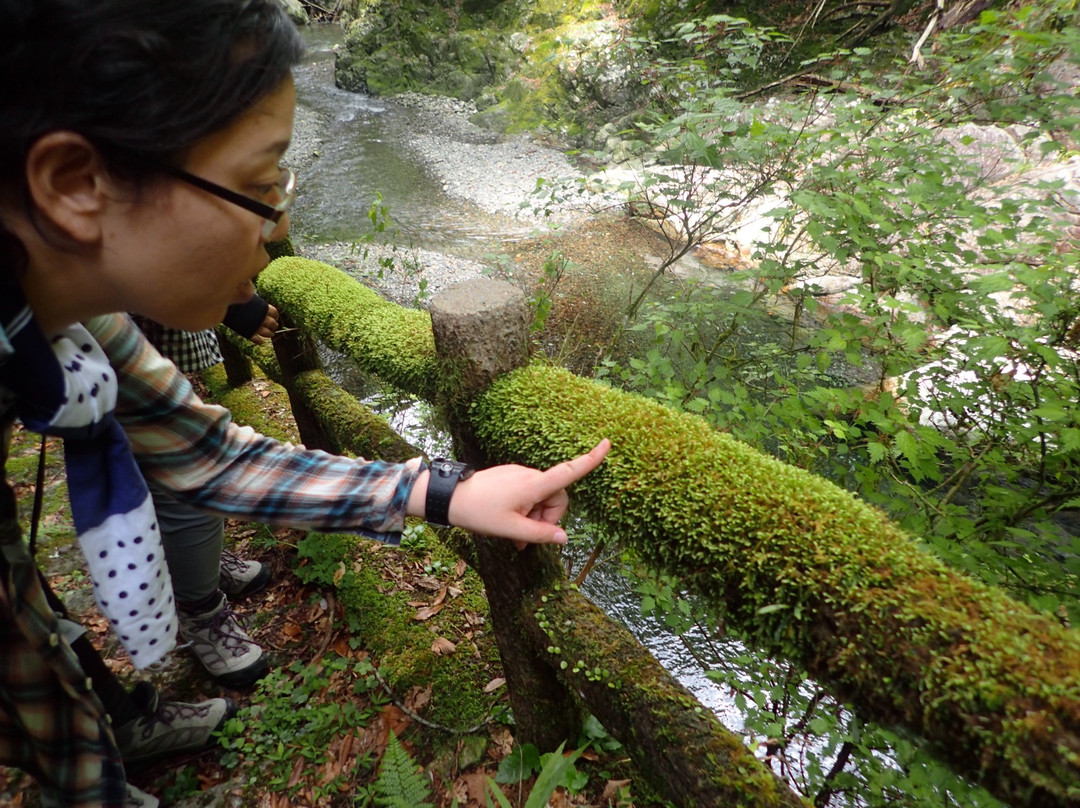Yoi Yoi Kawakami-川上村必去景点