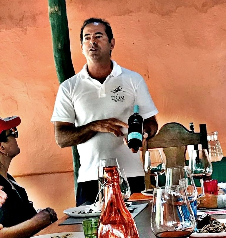 Vinhedo Girassol-Cocalzinho de Goias必去景点