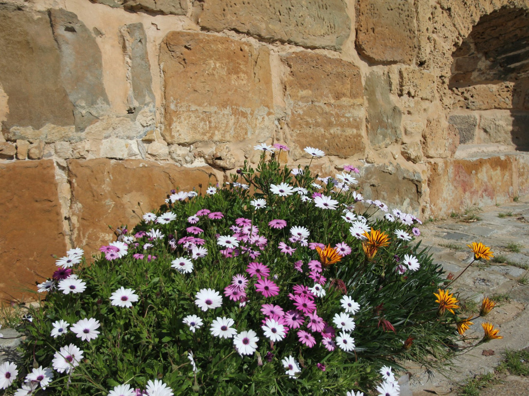 Fort d'Espagne-比塞大必去景点