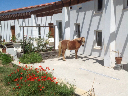 Quinta de Moledos主图