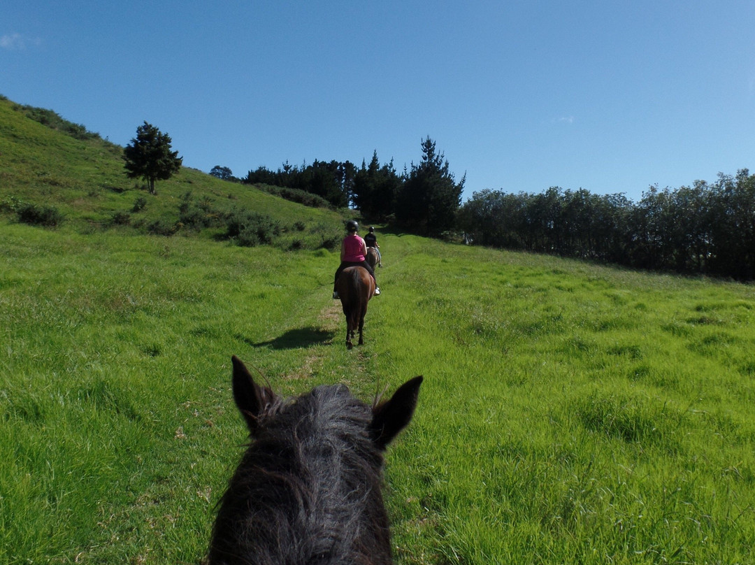 Waiheke Equestrian景点图片