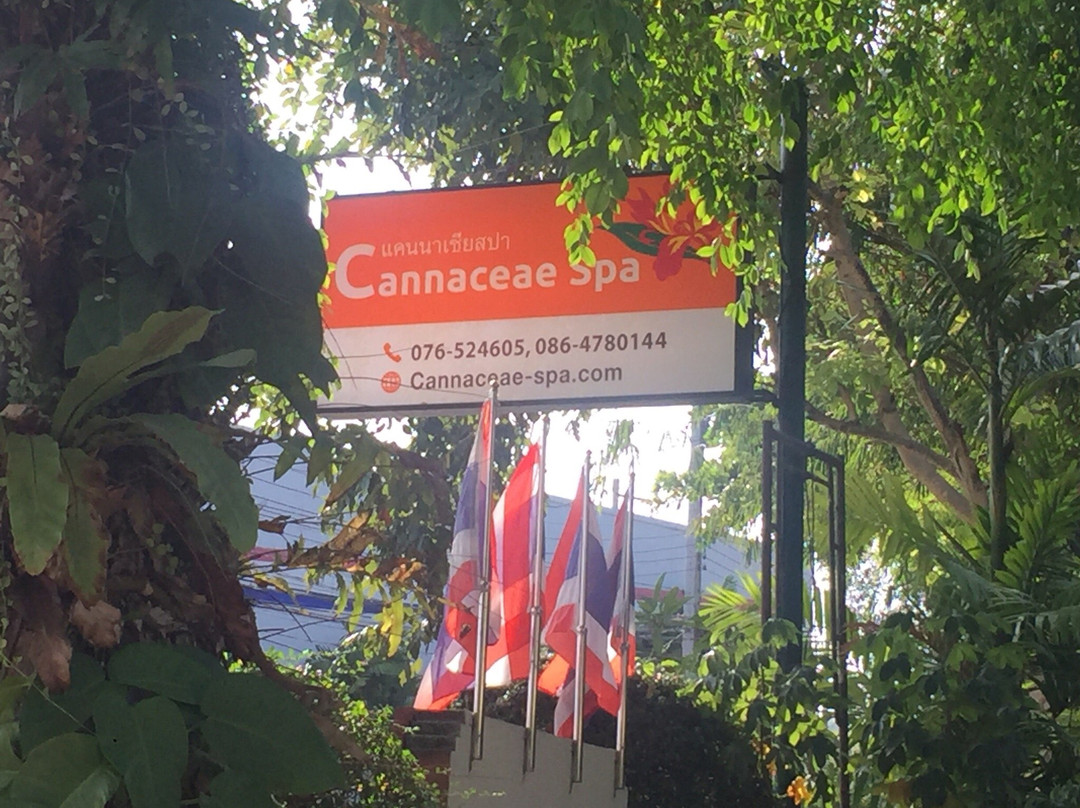 Cannaceae Spa景点图片