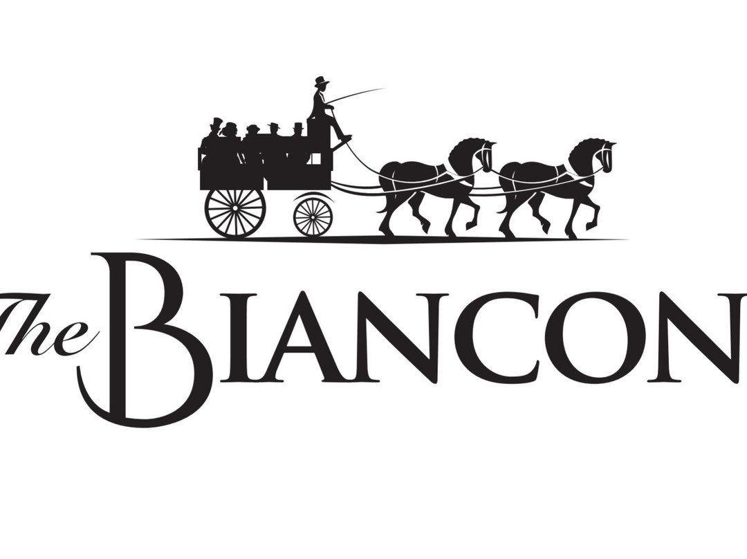 The Bianconi主图