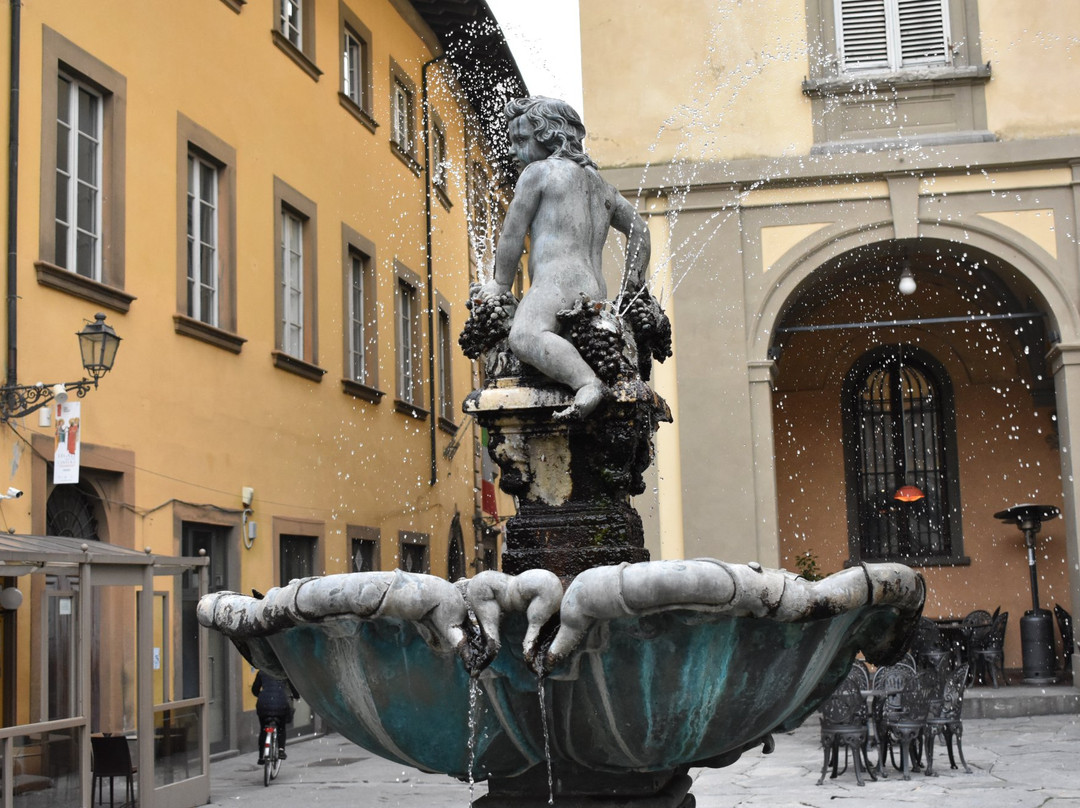 Fontana del Bacchino景点图片