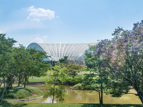 Estância Árvore da Vida