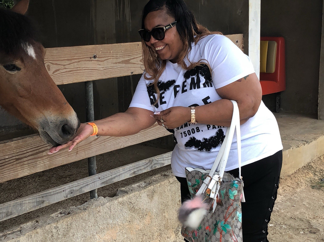 Jamaica Zoo-Lacovia必去景点