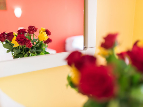 金字塔酒店主图