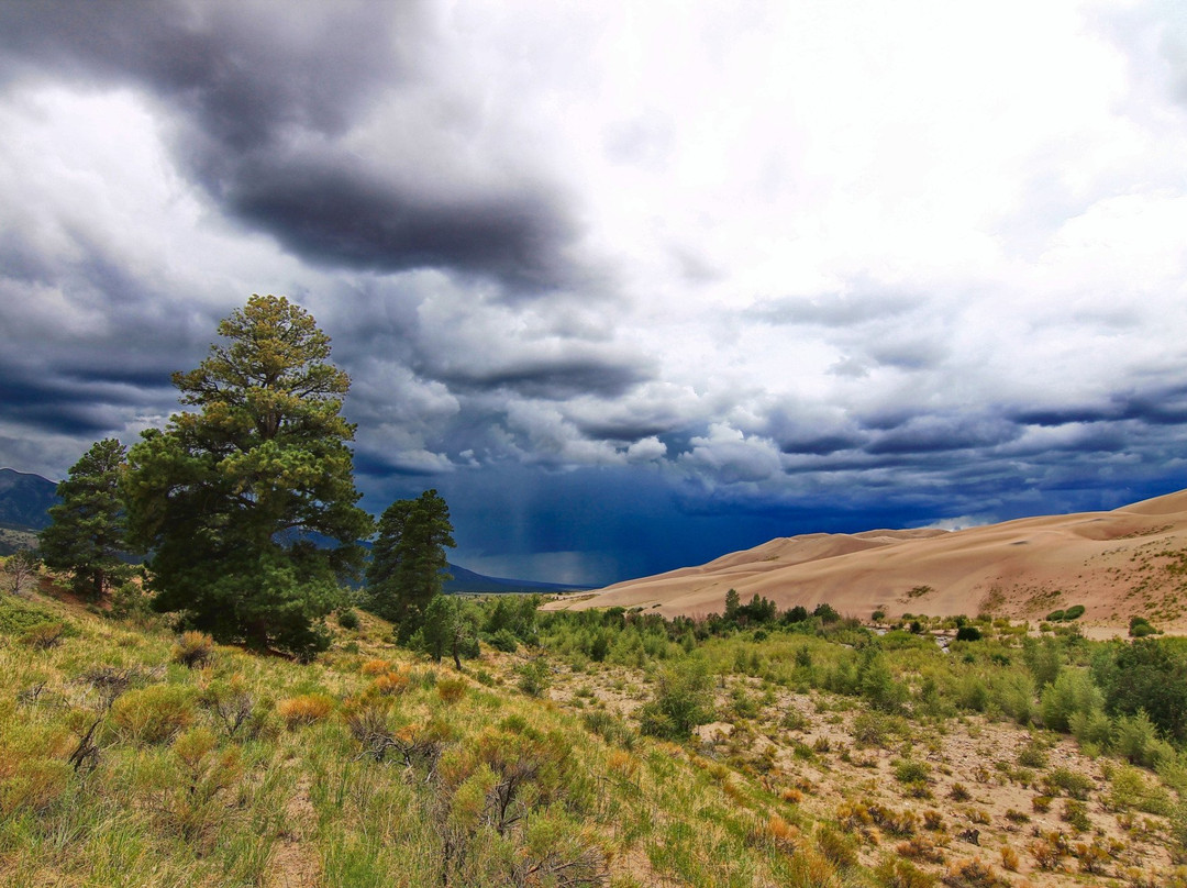 Pathfinders 4x4-Saguache必去景点