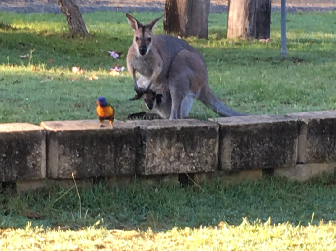 Plantation Motel主图