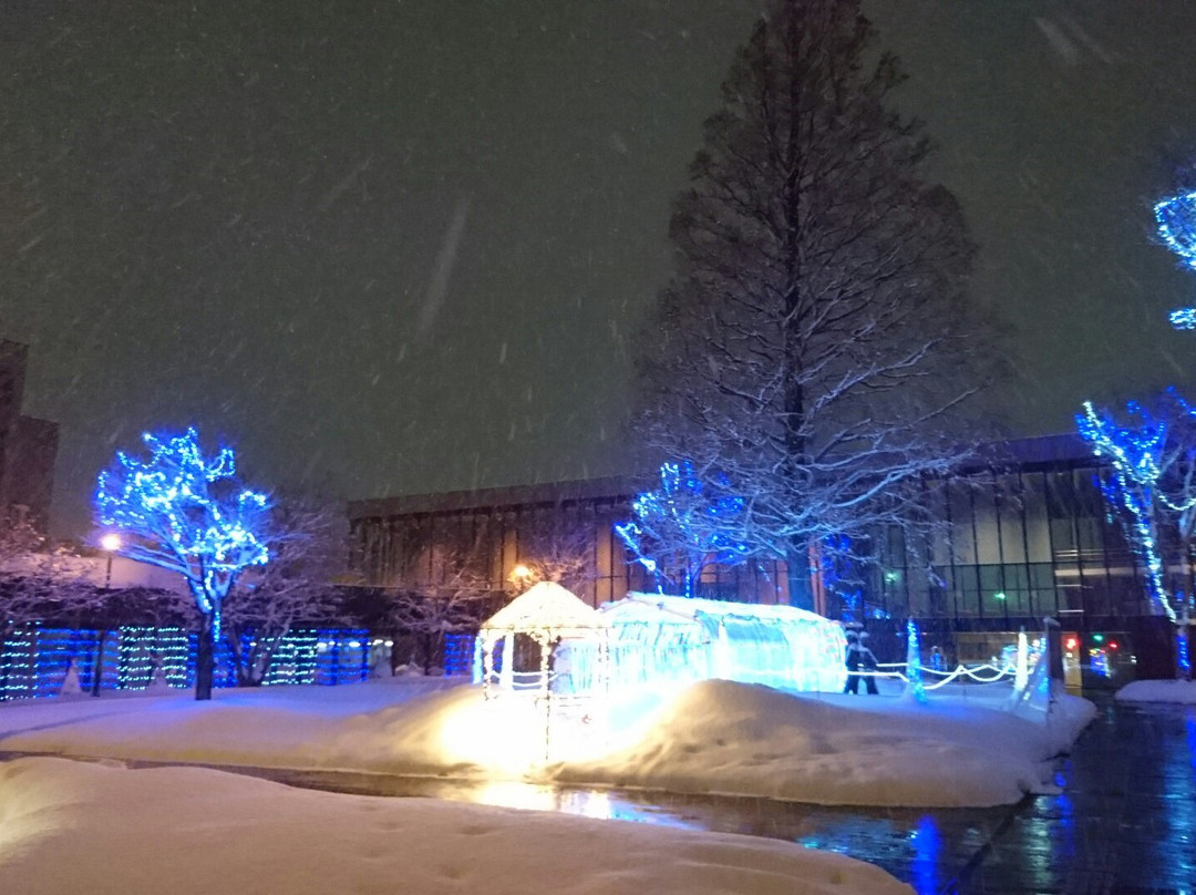 Iwamizawa Hotel 5主图