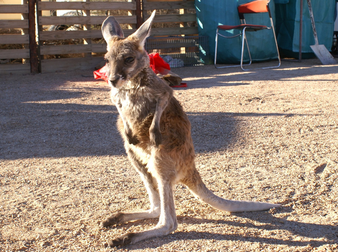 Hidden Gems of Daylesford Tours-戴尔斯福特必去景点