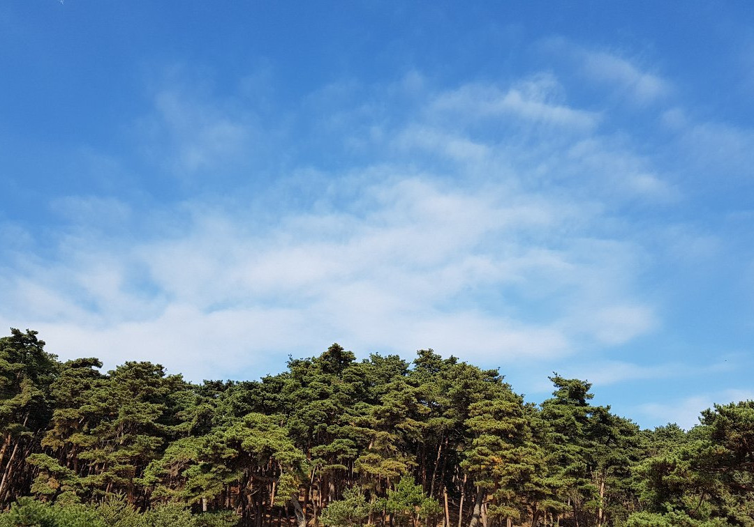 Hyeonchungsa Shrine-牙山市必去景点