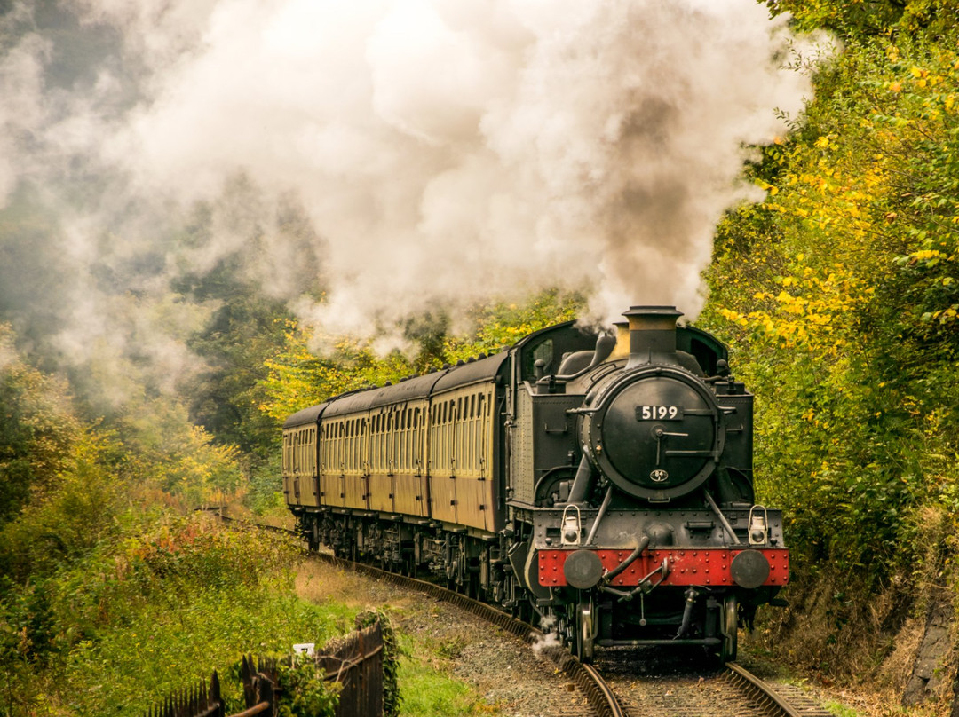 Berwyn Railway Station景点图片