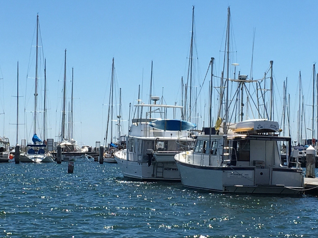 Royal Geelong Yacht Club景点图片
