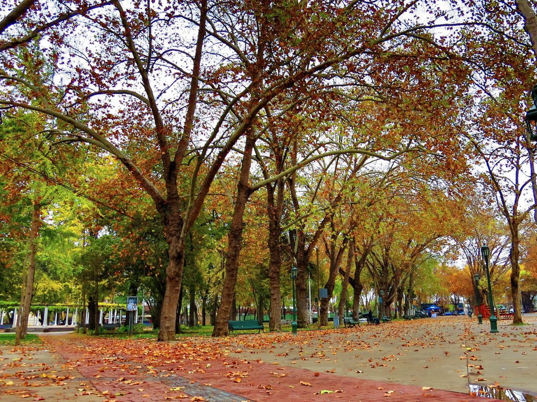 Cielo Verde-Limache必去景点
