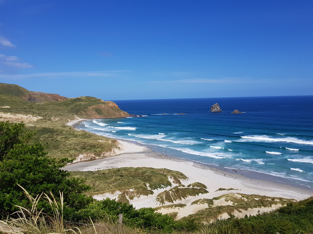 Sandfly Bay Track景点图片