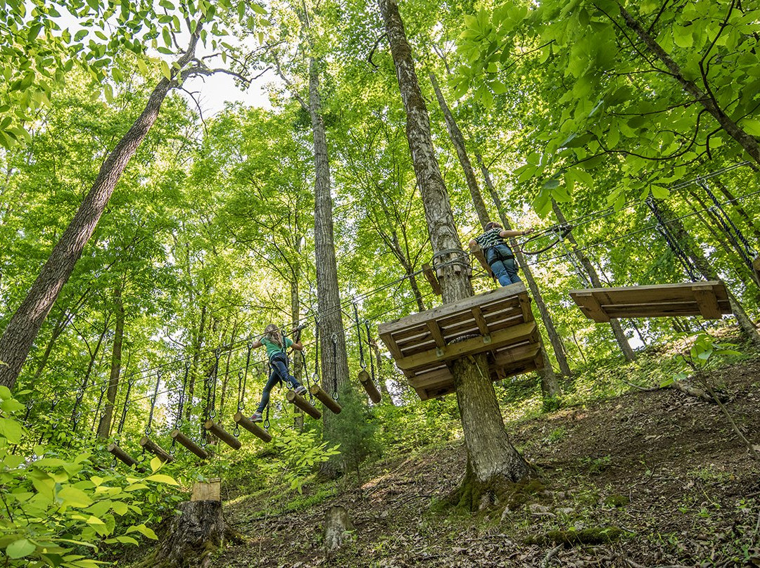 Tree Tops Ropes Course-塞维尔维尔必去景点