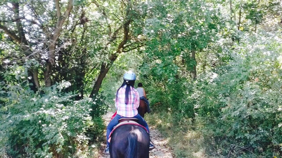 Chain 'O Lakes State Park-Spring Grove必去景点