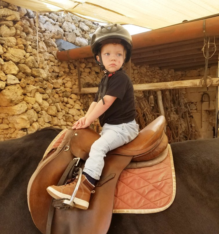 Bidnija Horse Riding-Mosta必去景点