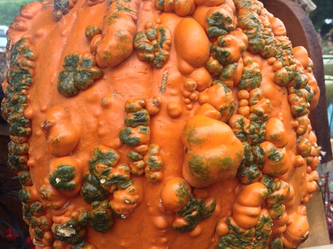 Tacoma Boys-塔科马必去景点