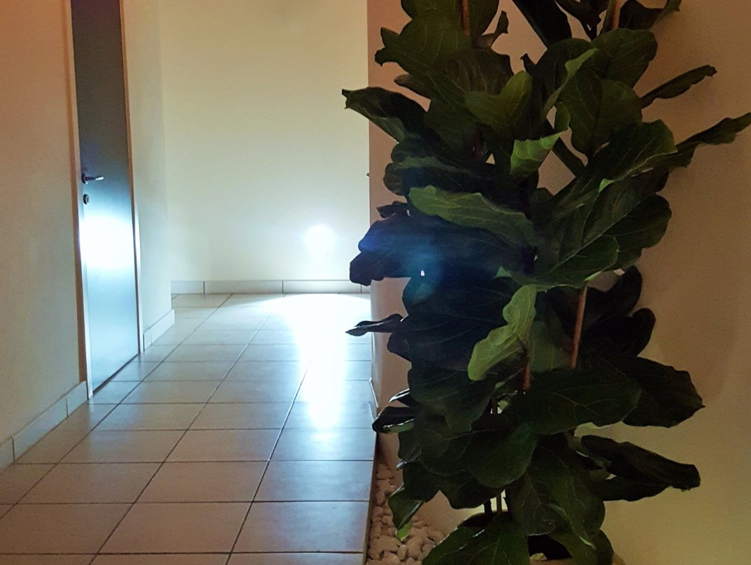 Blu Life SPA & Wellness景点图片