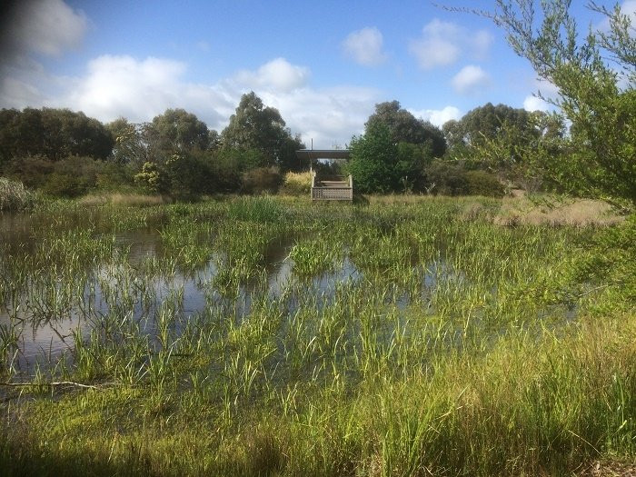 Summerfield Wetlands and Playground景点图片