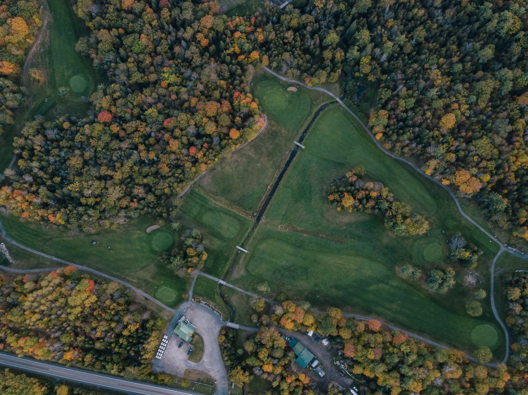 Blue Heron Golf Club景点图片