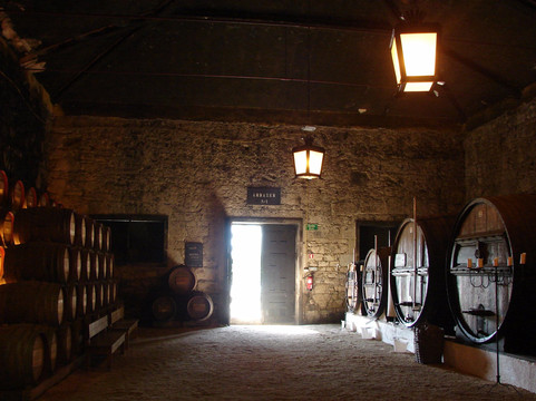 Tourvent - Travel and Events-波尔图必去景点