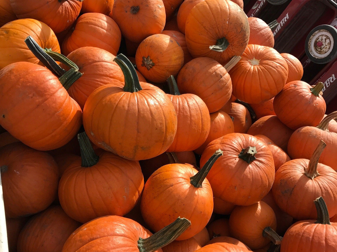 Didier Farms-Lincolnshire必去景点