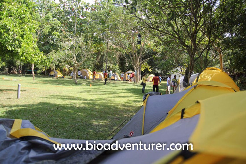 Bio Adventurer-登巴萨必去景点