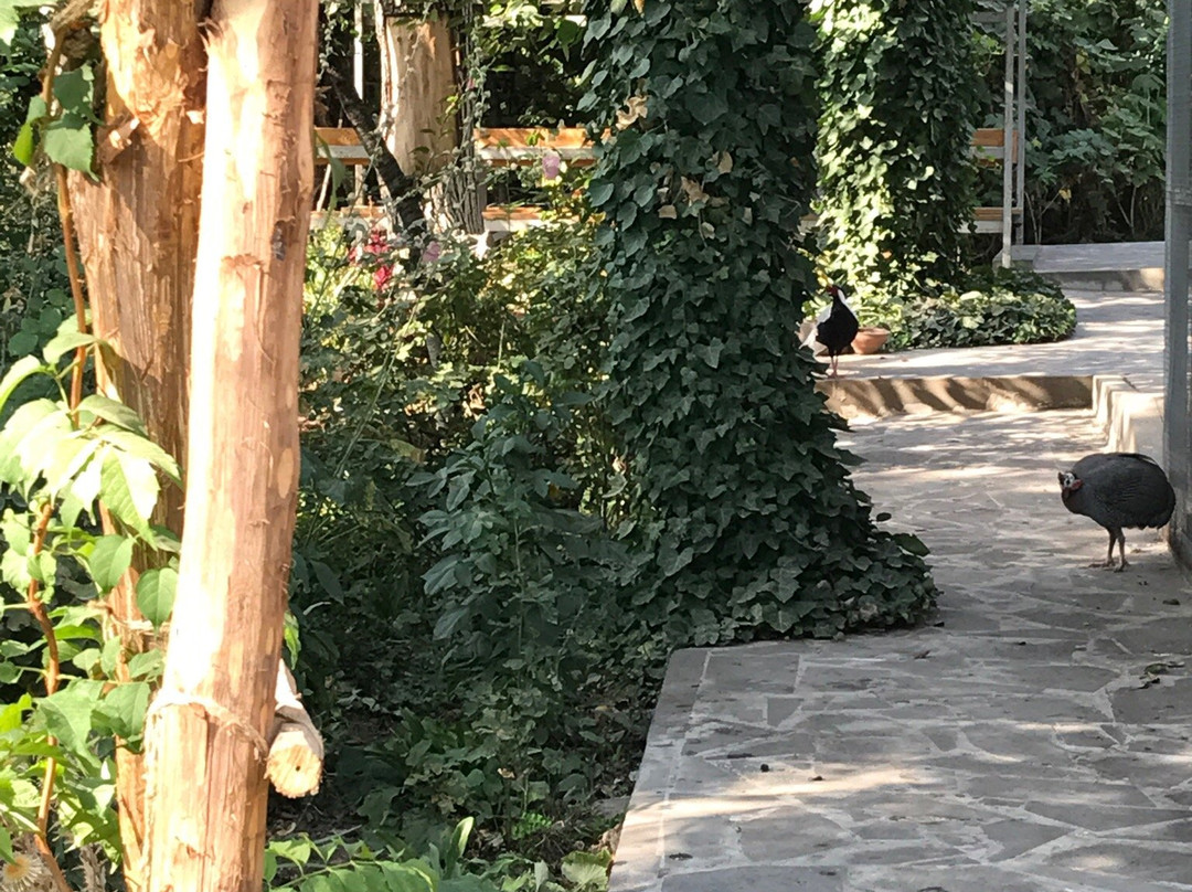 Aksel Bakunts Museum-戈尔斯必去景点
