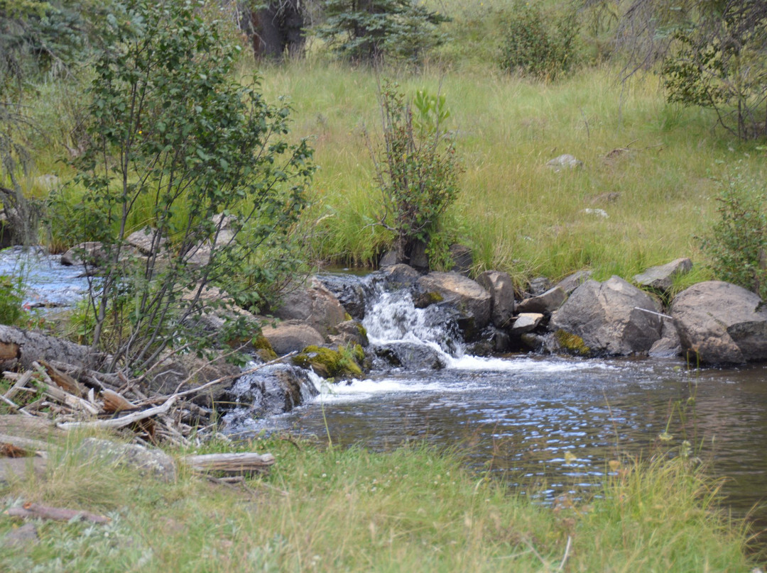 Thompson Trail (Forest Service Trail 629)-Pinetop-Lakeside必去景点