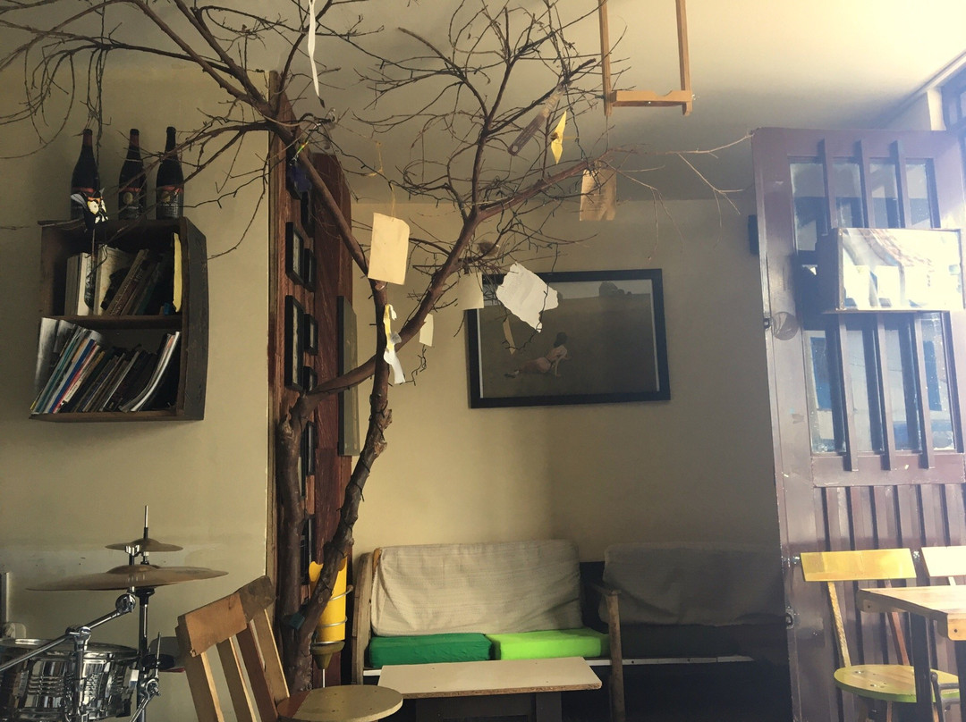 El Arbol Cafe Musica