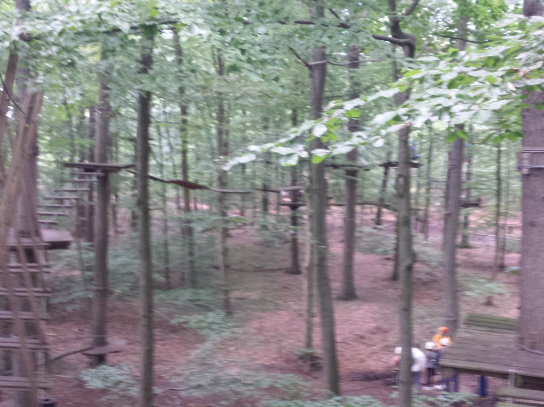 Hochseilgarten Hasloh景点图片