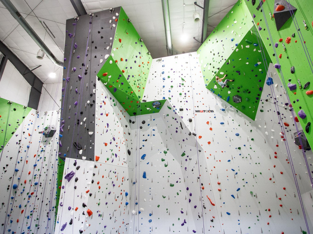 Onsight Rock Gym景点图片