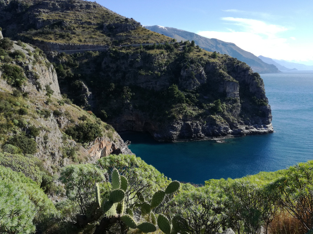 Canale di Mezzanotte景点图片
