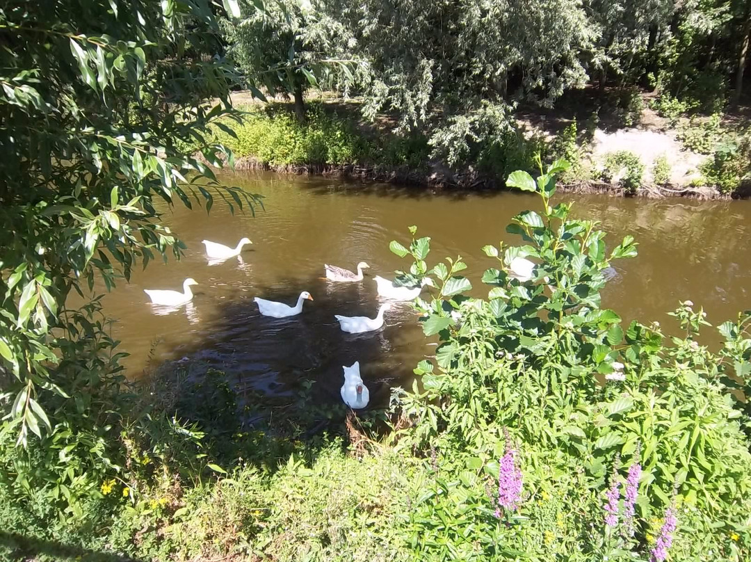 Kinderboerderij 't Weusthag景点图片