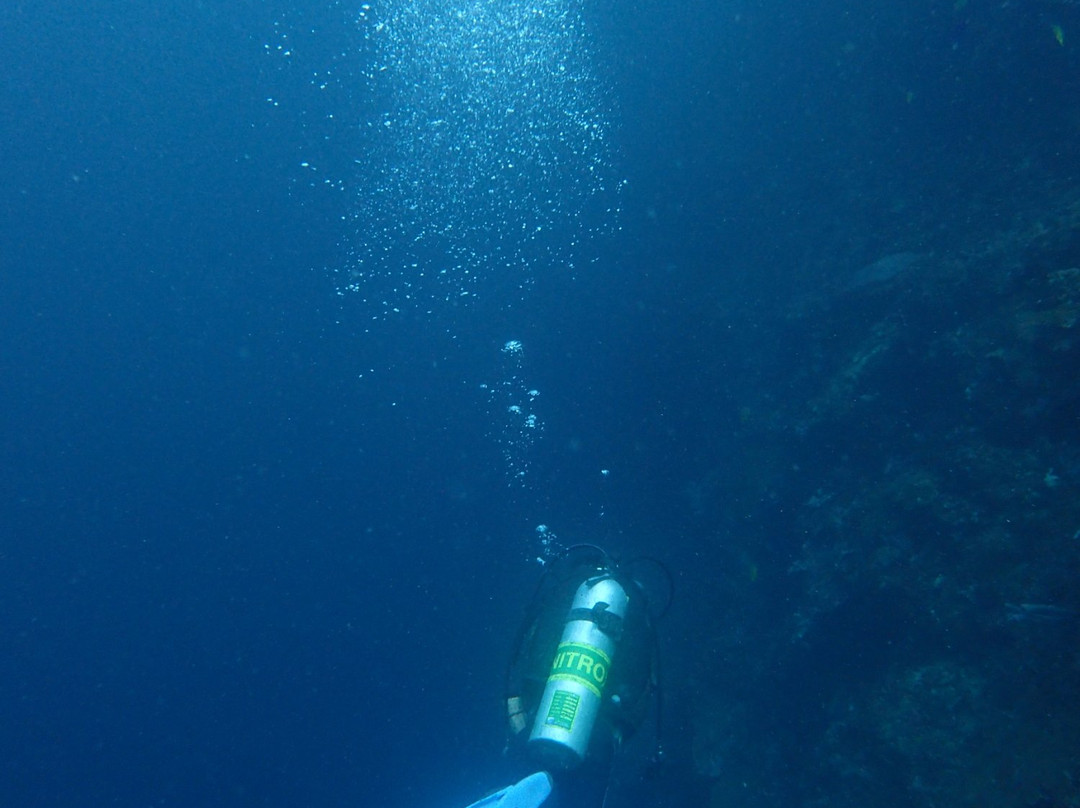 7 Seas Aquanauts-马丹岛必去景点