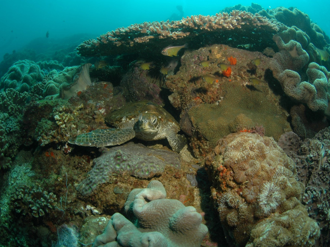 Tweed Sea Sports-堤维德岬必去景点