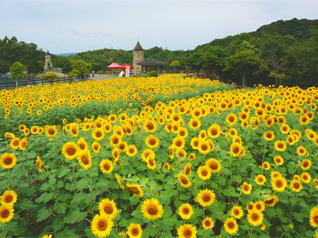 南淡路市旅游景点-Awaji Farm Park England Hill