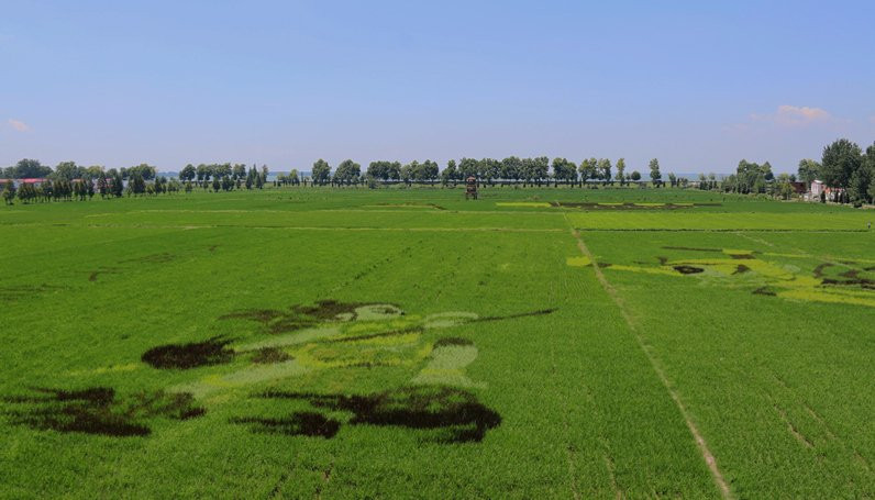 六安安丰塘-寿县必去景点